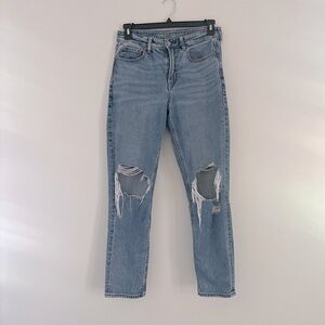 American Eagle Strigid Mom Jeans
